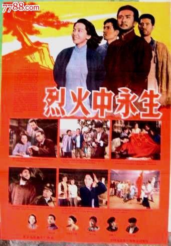 台湾身份证有效期怎么查询系统